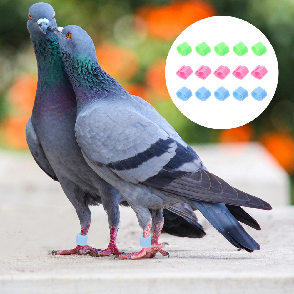 20Pcs Pigeon Identification Tools Homing Pigeon Leg Rings Colorful Bird Leg Bands