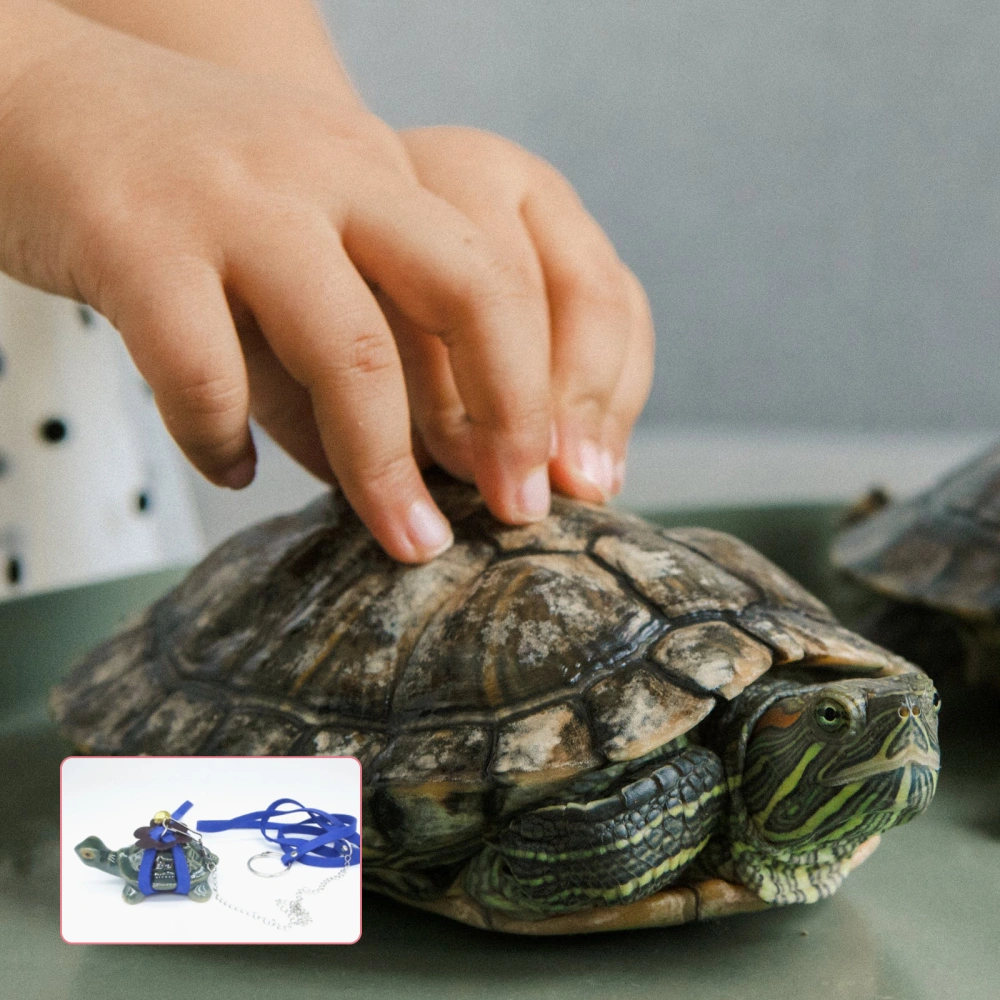 1pc Tortoise Pet Pulling Rope Tortoise Hauling Rope Pet Going Out Hauling Rope