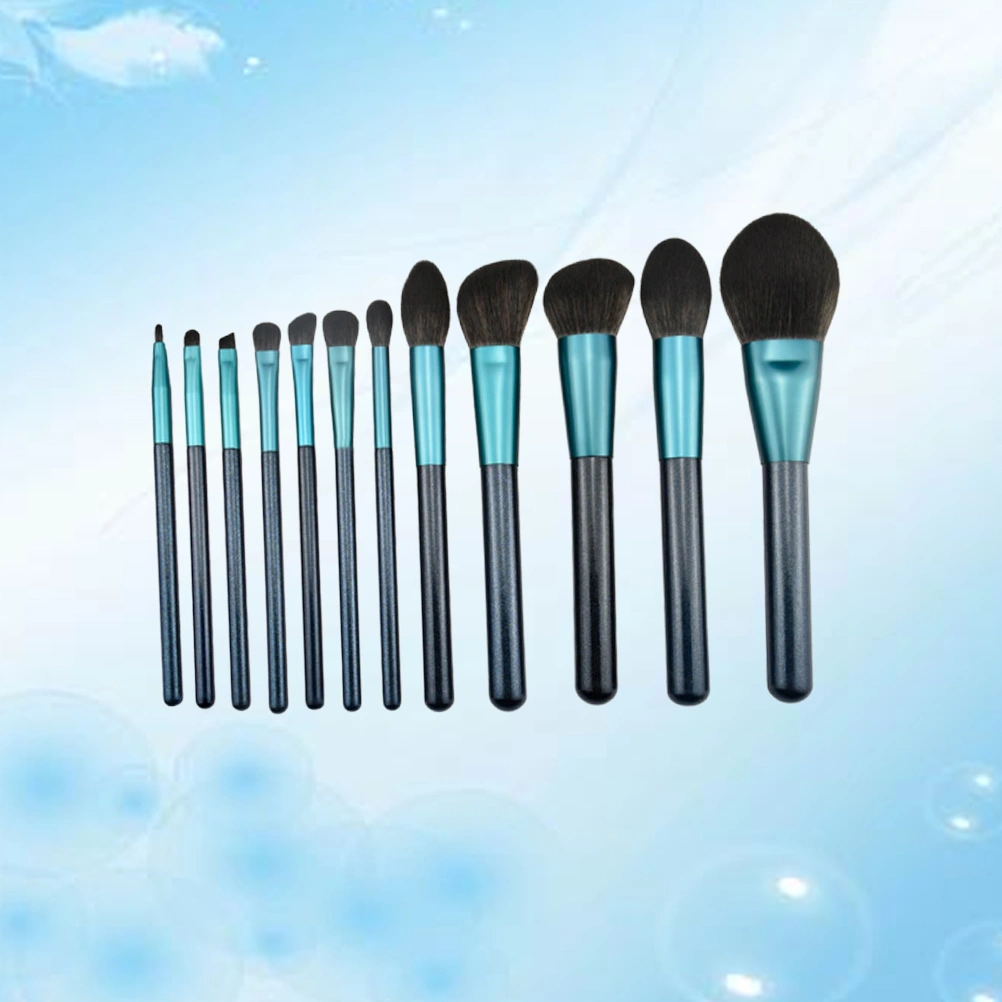 12Pcs Makeup Brushes Long Handle Brushes Bristle Brushes Foundation Brush Women Cosmetic Tool for Home Salon Random Color