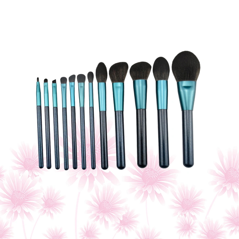12Pcs Makeup Brushes Long Handle Brushes Bristle Brushes Foundation Brush Women Cosmetic Tool for Home Salon Random Color