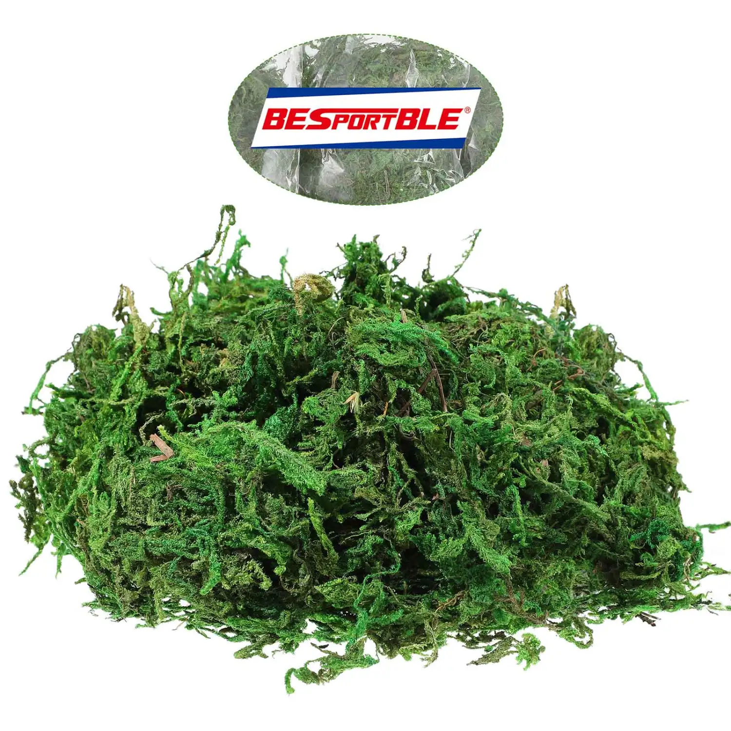 3 Pack Natural Moss Lichen Plants Potted Moss for Home Garden Centerpieces Patio Decorations