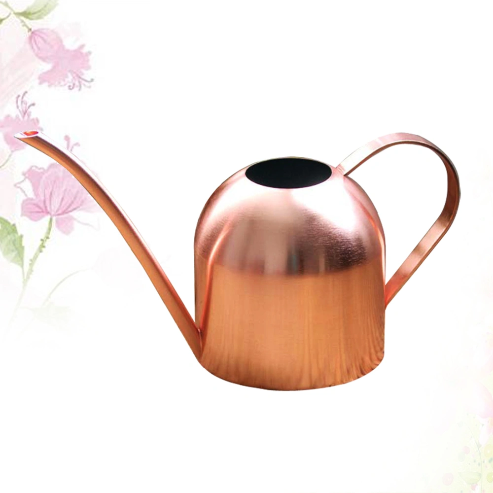 1000ml Watering Can Stainless Steel Long Mouth Watering Kettle Gardening Tool Watering Device