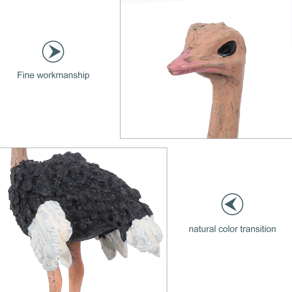 Ostrich Model Ornament Simulation Ostrich Plaything Tabletop Ostrich Decor