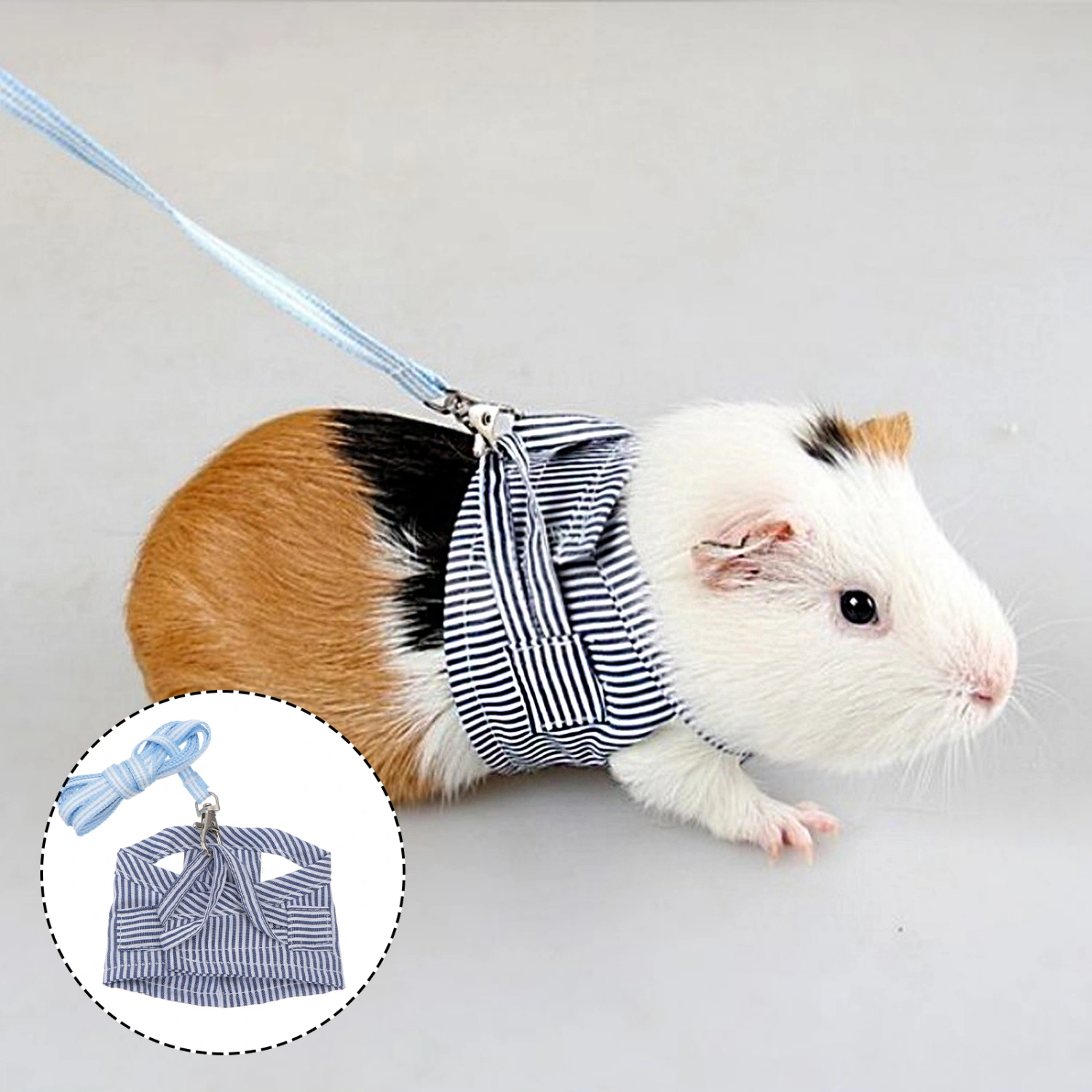 Small Pet Guinea Pig Rabbit Harness and Leash Cotton Stripe Chest Strap Vest for Animals Guinea Pig Chinchilla Rabbit Rat Squirrel Hedgehog Ferret Outdoor Walking Clothes Accessory - Size S (Blue)
