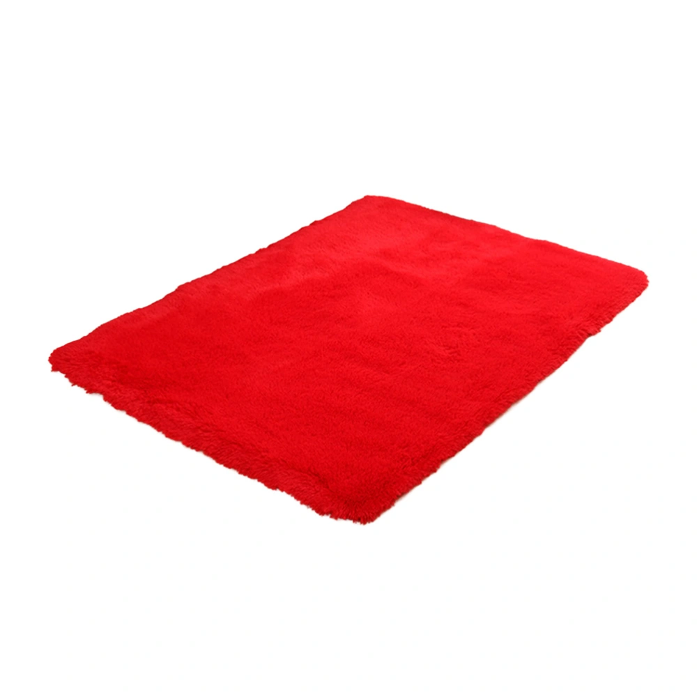 Modern Rugs Living Room Carpet Bedroom Rug for Children Play Solid Home Decorator Floor Mat Carpet 40x60cm (Red)