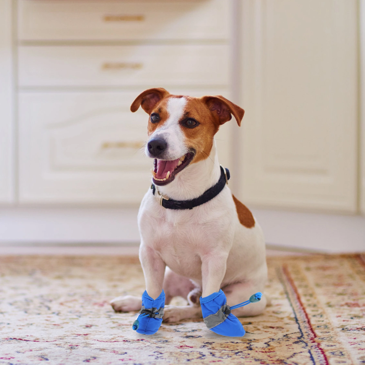 4pcs Pet Boots Outdoor Waterproof Rain Shoes Anti-slip Dog Shoes Foot Protectors