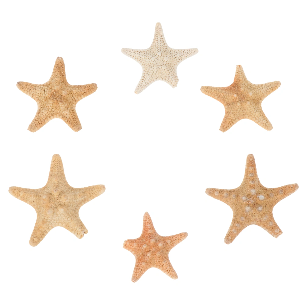 6Pcs Natural Sea Star Decors DIY Sea Star Adornment Portable Fish Tank Ornament