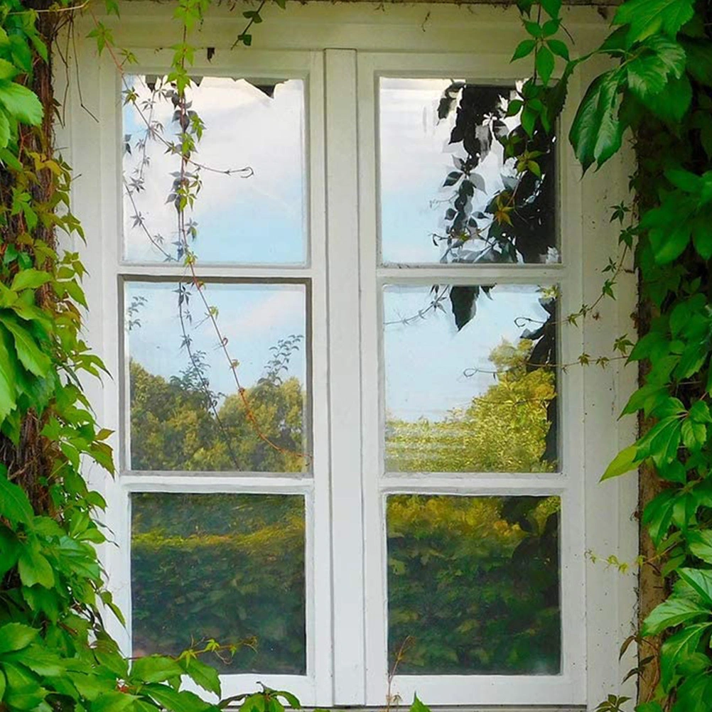 Window Film Window Privacy Film Static Window Film Home Privacy Protection Supply