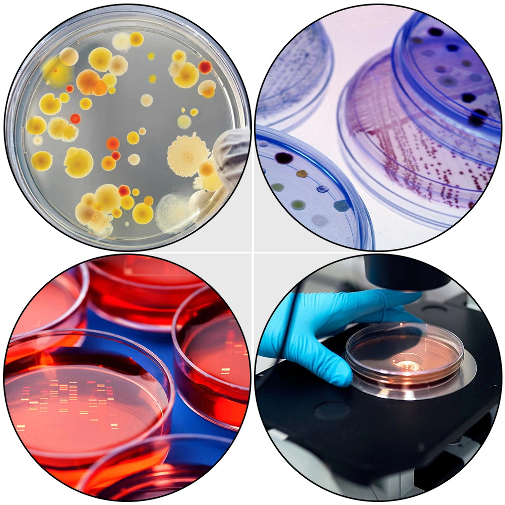 30Pcs Plastic Petri Dish Transparent Petri Dishes Culture Petri Dish with Lids