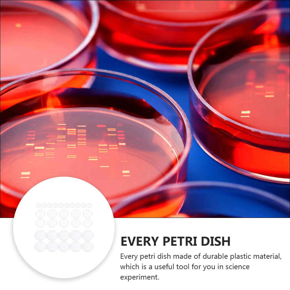 30Pcs Plastic Petri Dish Transparent Petri Dishes Culture Petri Dish with Lids