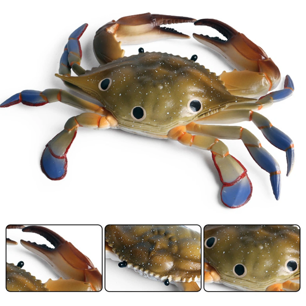 1pc Marine Animal Model Three-point Crab Swimming Crab Sea Crab Display Adornment for Home (Three-point Swimming Crab)