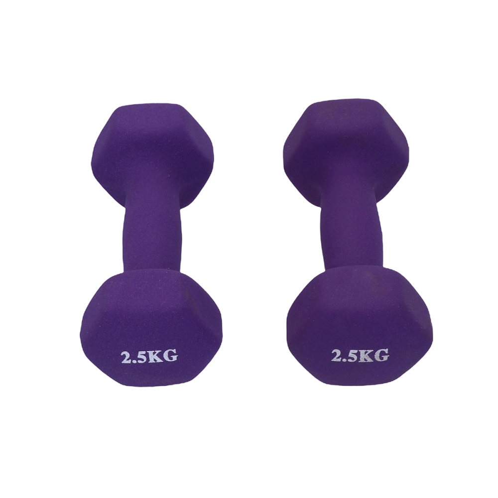 One Pair Exercise Dumbbells Frosted Dumbbells Lady Barbells Hand Bar For Yoga Fitness Lose Weight Random Color (2.5kg)