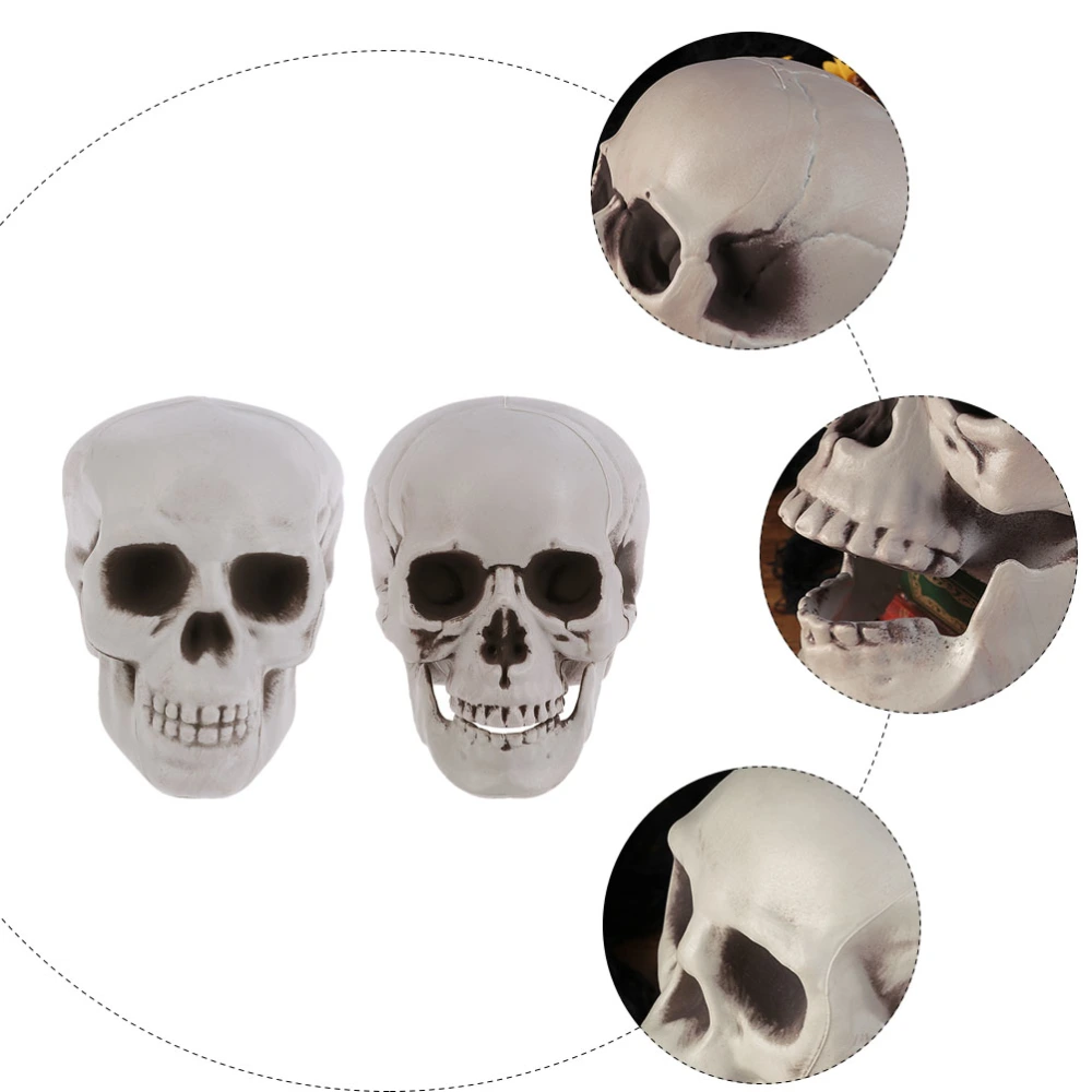 2Pcs Halloween Skulls Realistic Skull Models Human Skeleton Heads Decor