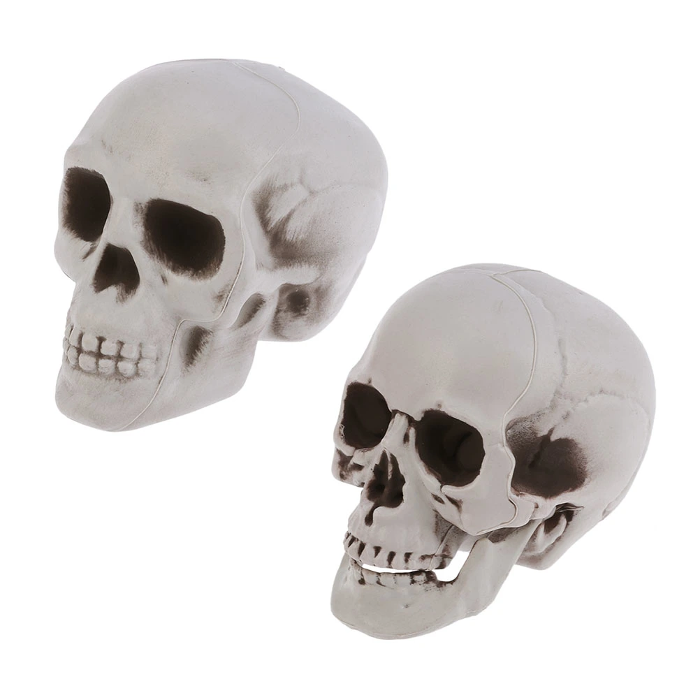 2Pcs Halloween Skulls Realistic Skull Models Human Skeleton Heads Decor