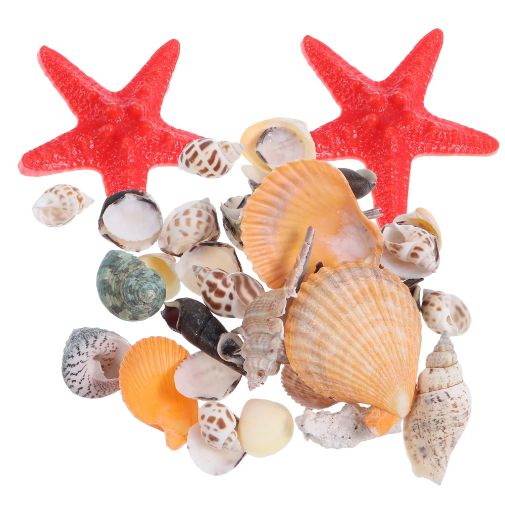 1 Set Natural Shells Sea Snails DIY Fish Tank Microlandscape Shell Crafts