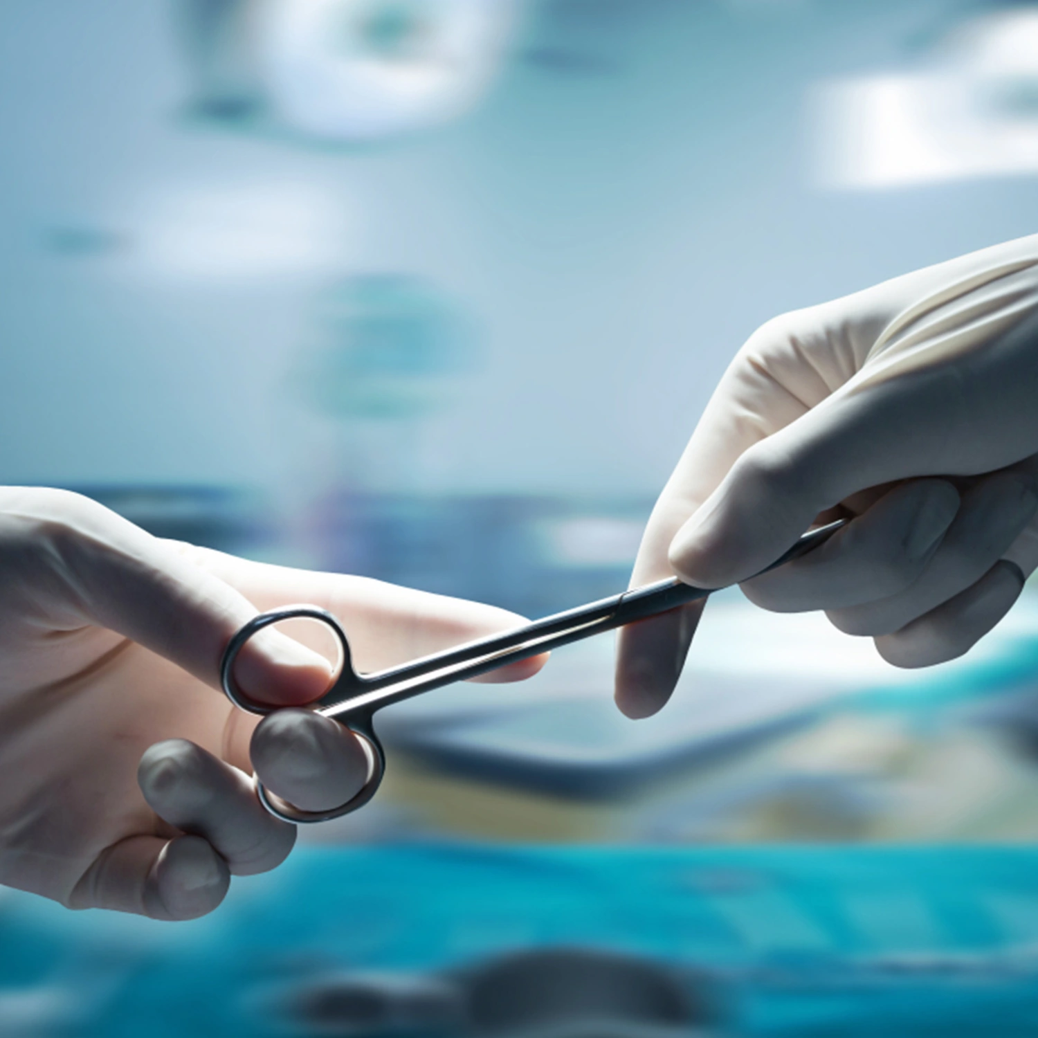 16CM Stainless Steel Scissors Medical Surgical Operating Dissecting Straight Scissors Hospital Supplies (Straight Head)