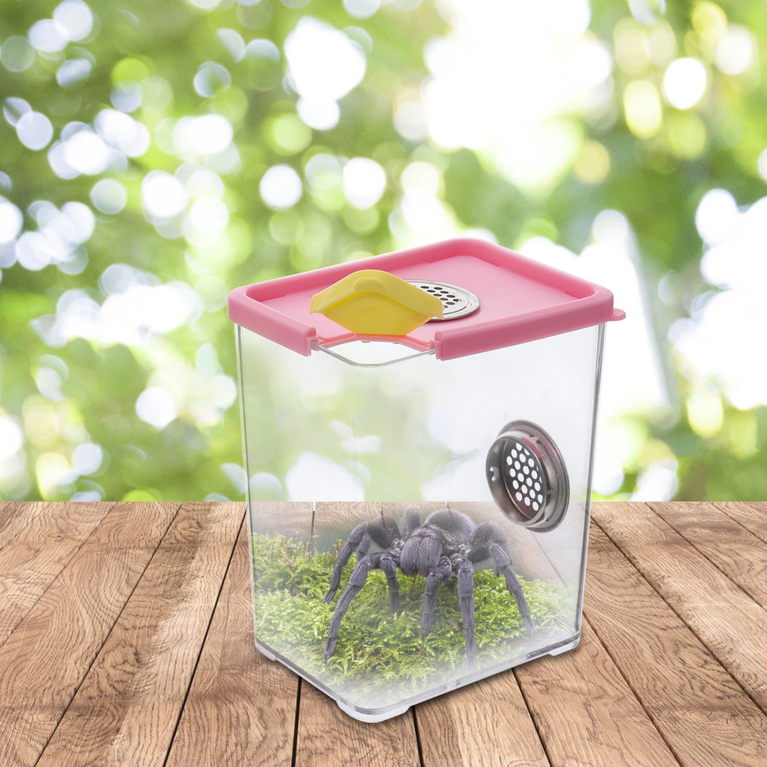 1pc Practical Reptile Feeding Box Acrylic Climbing Pet Feeding Container