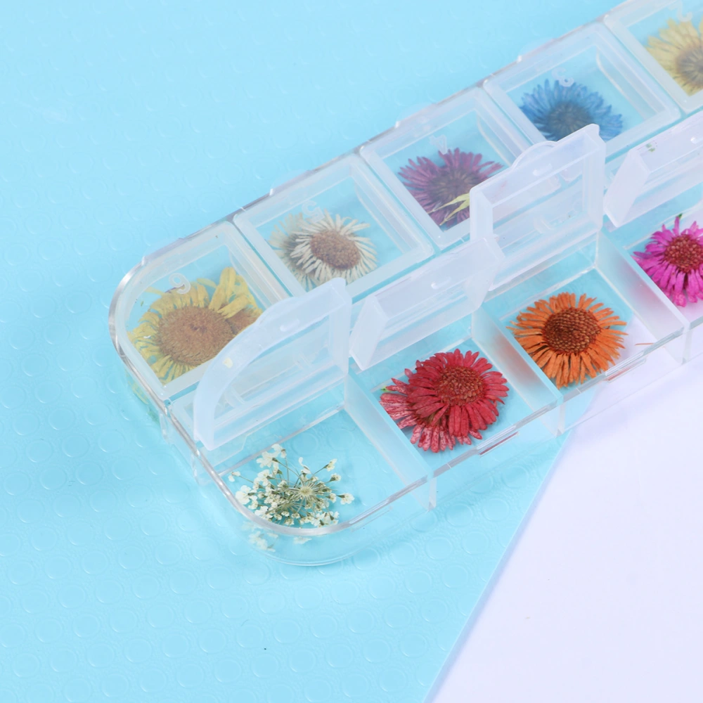 12 Colors Nail Dried Flowers 3D Nail Art Sticker DIY Nail Art Design Decorations Decals Nair Art Accessories for Women Girls (Daisy)