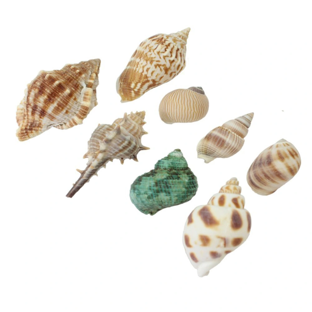 100G Mixed Beach Colorful Seashells Craft Aquarium Home Decoration