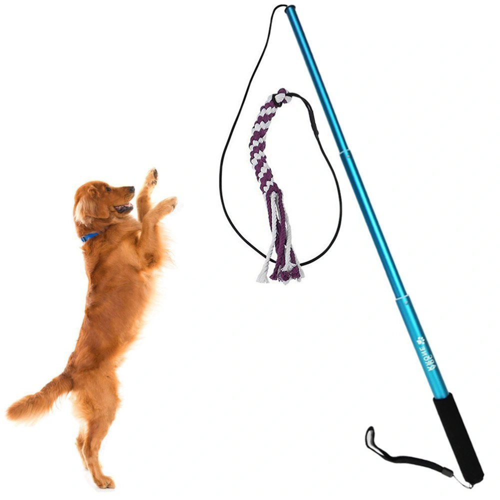 Interactive Dog Toys Extendable Flirt Pole Funny Chasing Tail Teaser and Exerciser for Pets Size S (Blue)