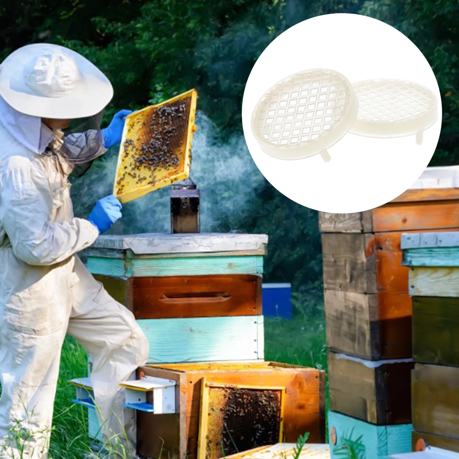 5 Pcs Bee Spawning Controller Beekeeping Rearing Cage Queen Bee Cages Controller