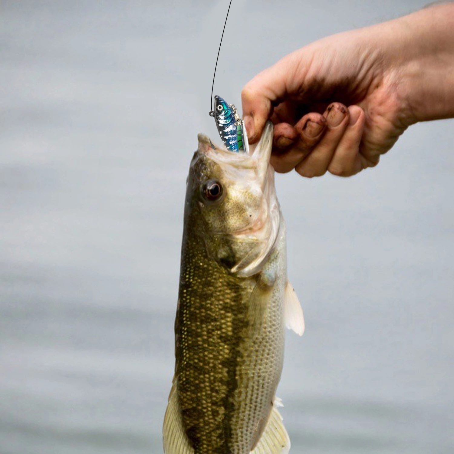 6cm Sequin Bait 3D Simulation Fisheye Sharp Hook Detailed Vivid Soft Texture Angling PVC Sequins Floating Soft Bait Outdoor Supply
