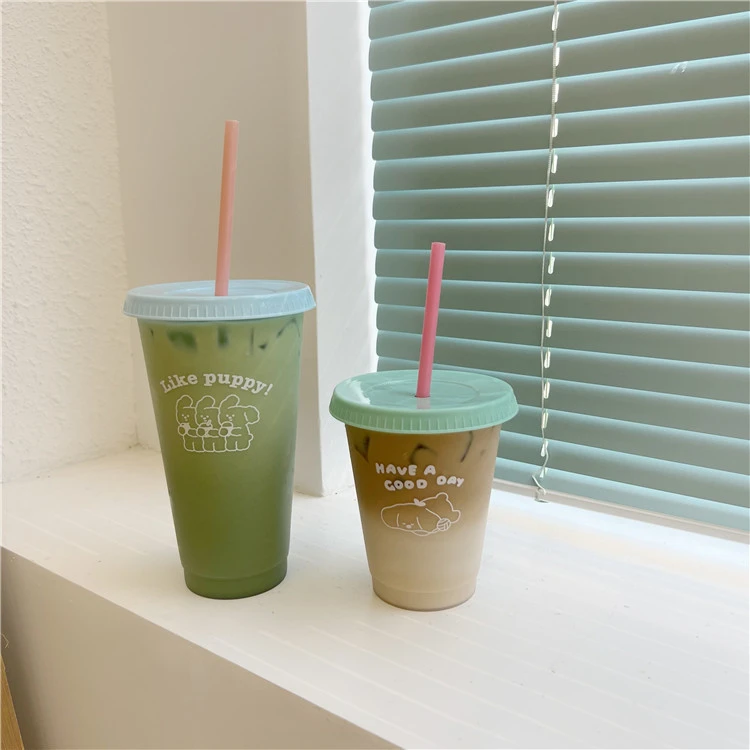 480/700ML Cute Water Bottle with Straw Reusable Drinking Bottle BPA Free Transparent Coffee Cup Milk and Mocha Cola Juice Mugs