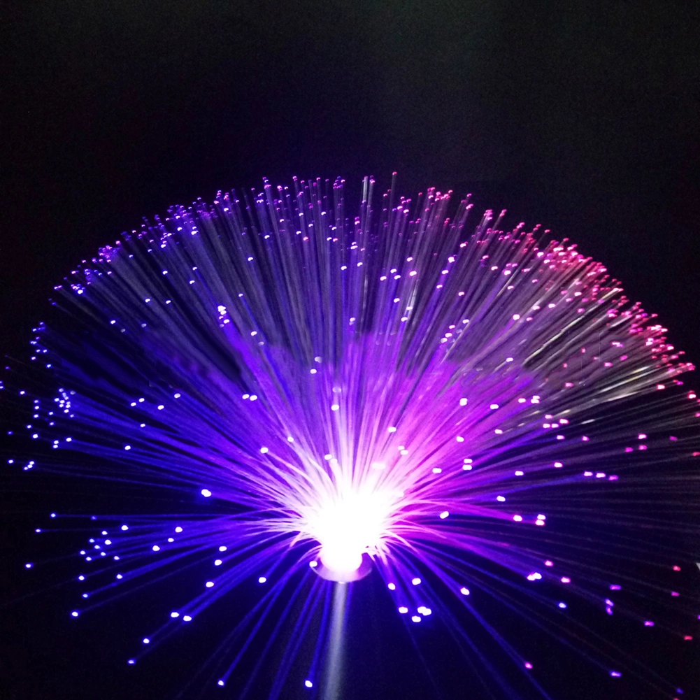 LED Color Changing Fiber Optic Night Light Lamp Home Holiday Party Decoration