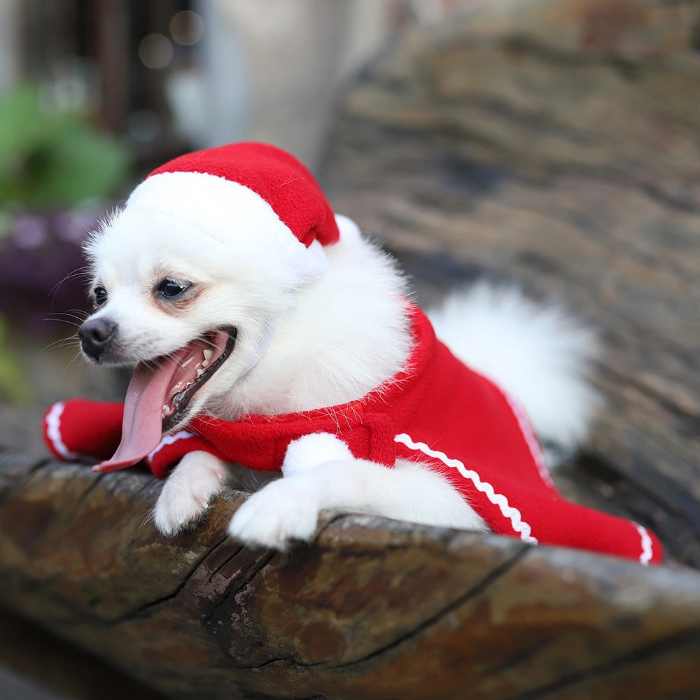 Pet Dog Cloak Hat Red Dress Suit