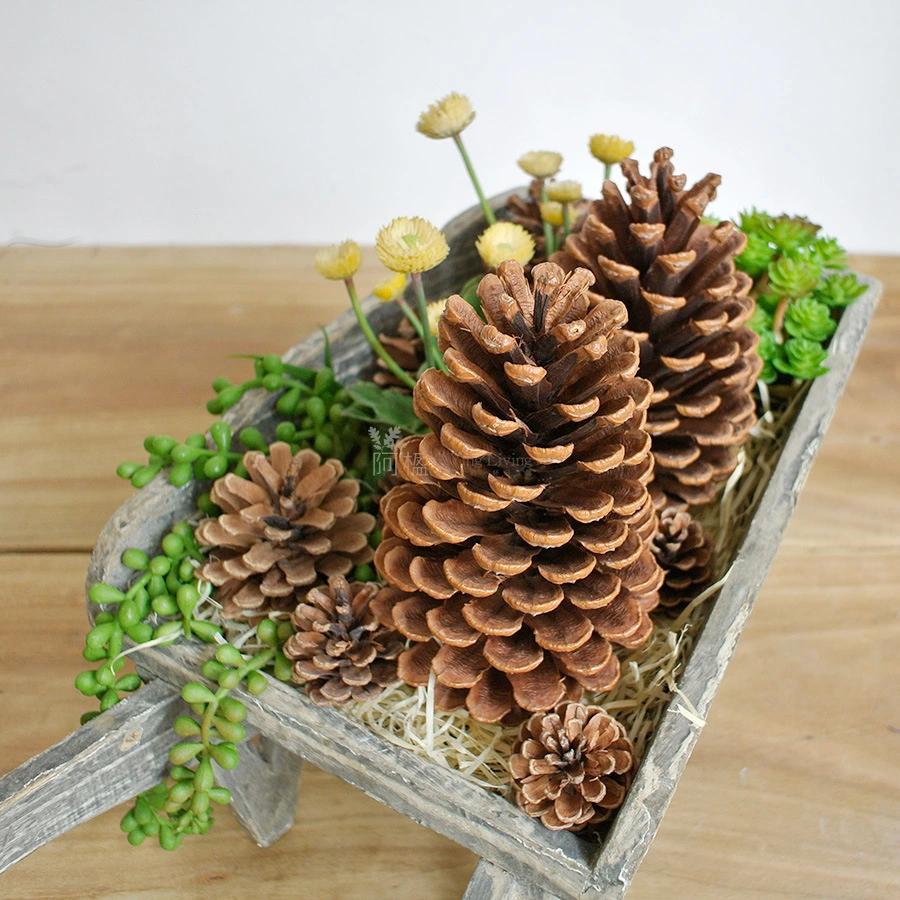 Pine Cone Bunge Pine Christmas Window Decoration