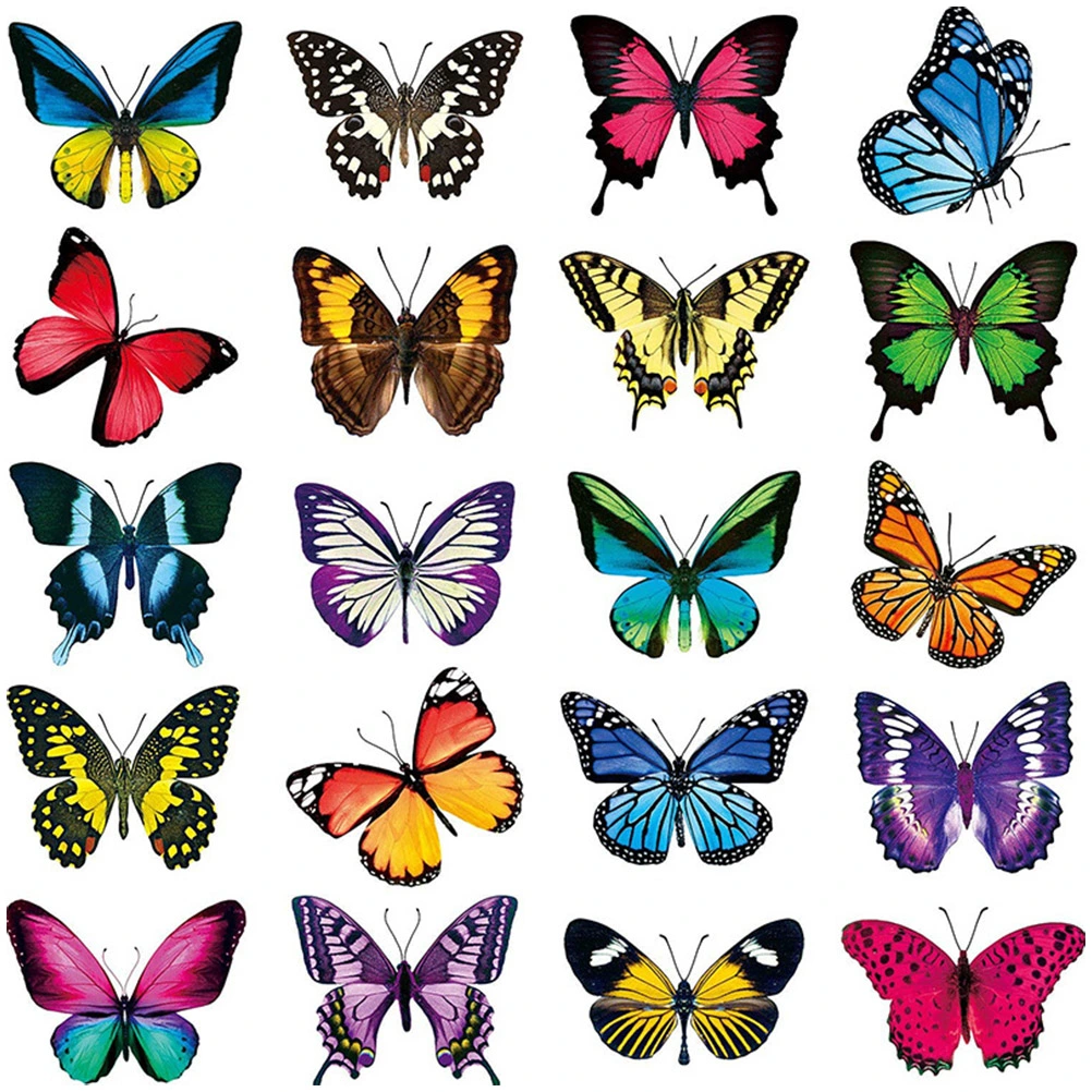 1 Set  Prevent Bird Strikes Window Clings Anti-Collision Window Clings
