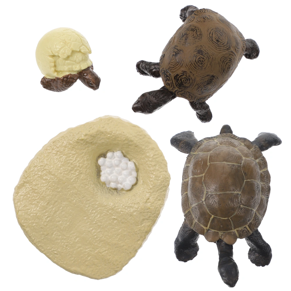 1 Set Tortoise Growth Cycle Models Simulated Tortoise Adornments Cognitive Toys