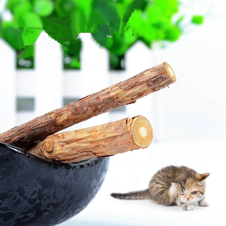 2pcs Natural Matatabi Cat Stick Chew Toy Dental Health Kitten Brush Teeth Pet Treat