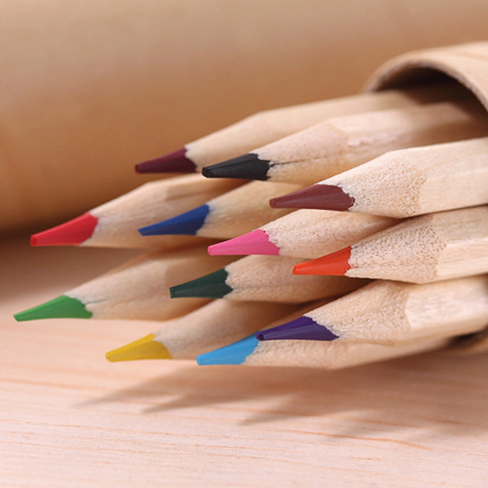12pcs Colored Set Flexible Drawing Artist Sketching Pencils Set Colored Barrelled Pencil Painting Paper Pencil Box (Long Style)