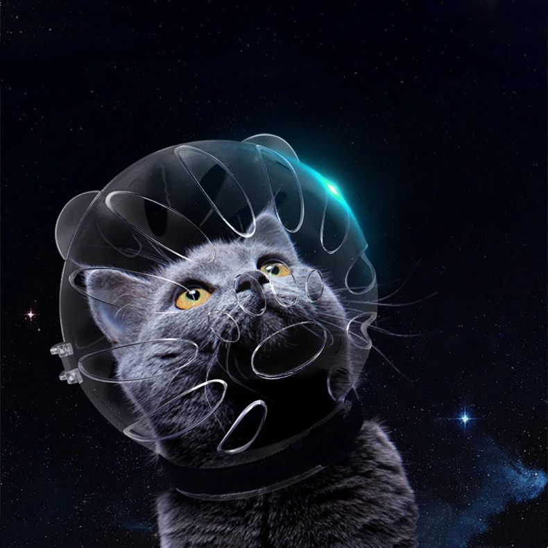 Cat Space Head Cover Muzzle Anti-bite Collar Headgear