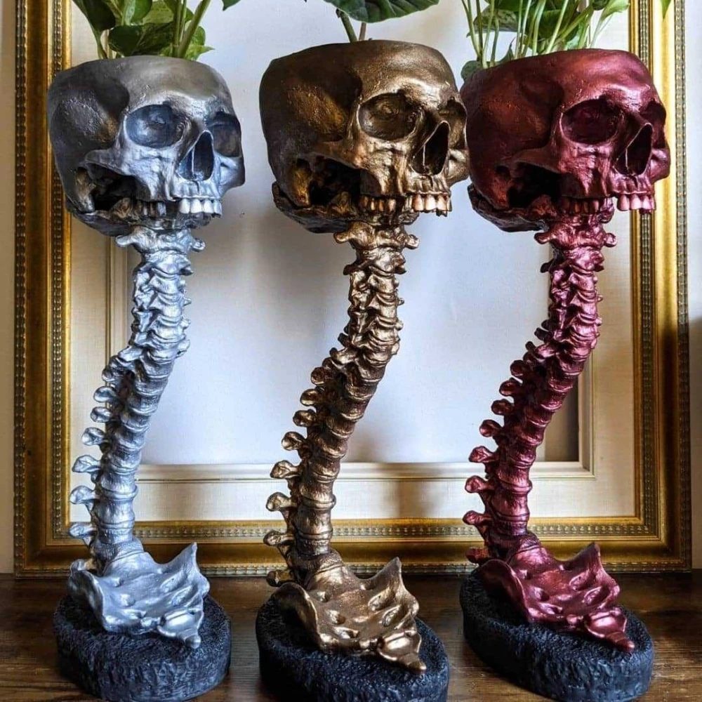 Skull Flower Pot And Spine Rack Set