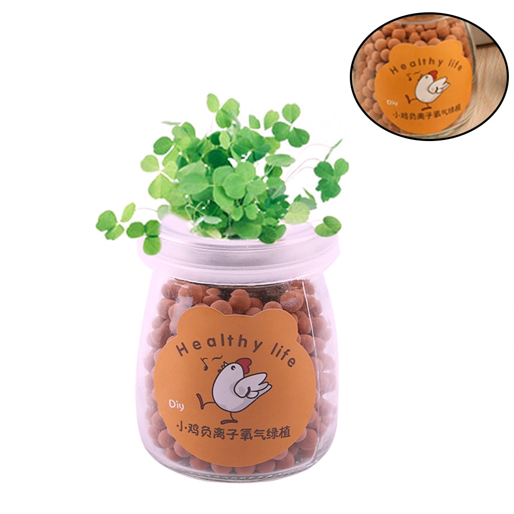 DIY Office Chicken Patterned Desk Decoration Grass Green Plant Anion Planted Potted Mini Anion Potted Plant Hydroponic Plant Potted(Yellow)