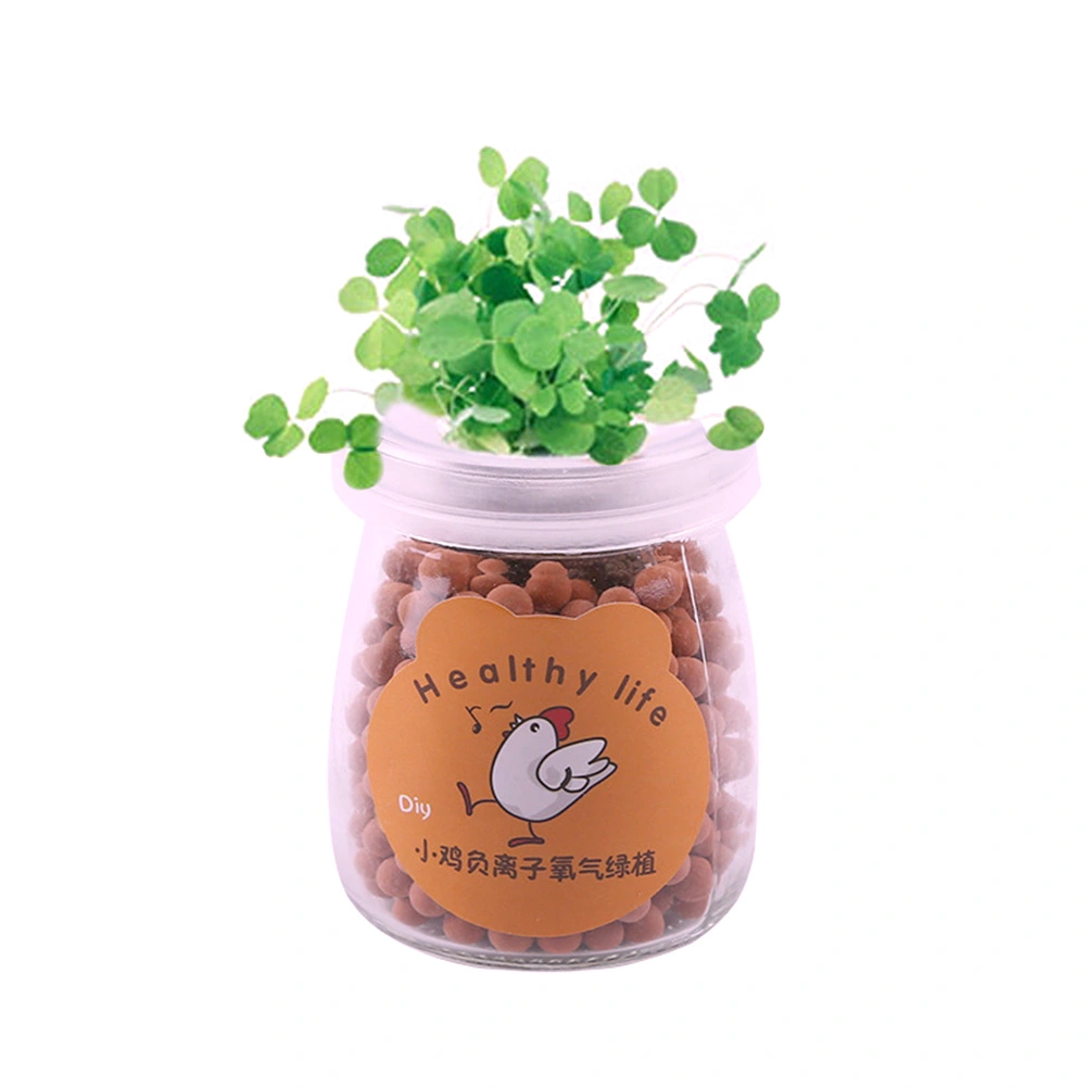 DIY Office Chicken Patterned Desk Decoration Grass Green Plant Anion Planted Potted Mini Anion Potted Plant Hydroponic Plant Potted(Yellow)