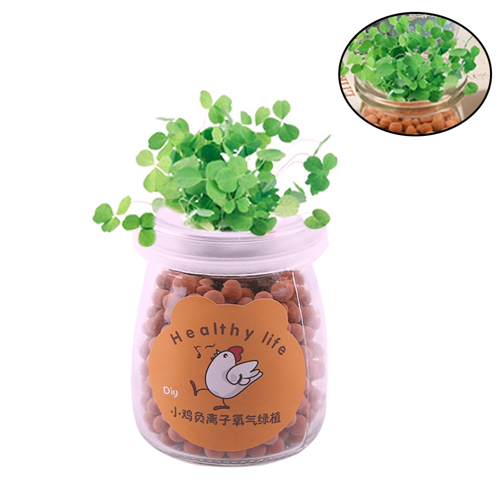 DIY Office Chicken Patterned Desk Decoration Grass Green Plant Anion Planted Potted Mini Anion Potted Plant Hydroponic Plant Potted(Yellow)