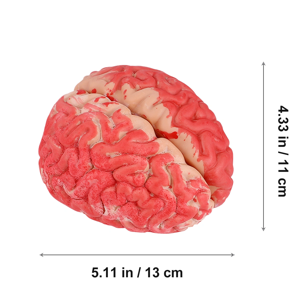 1Pc Halloween Prop Bloody Scary Fake Organ Human Brain Body Parts for Halloween Party Accessories(Dark Red)