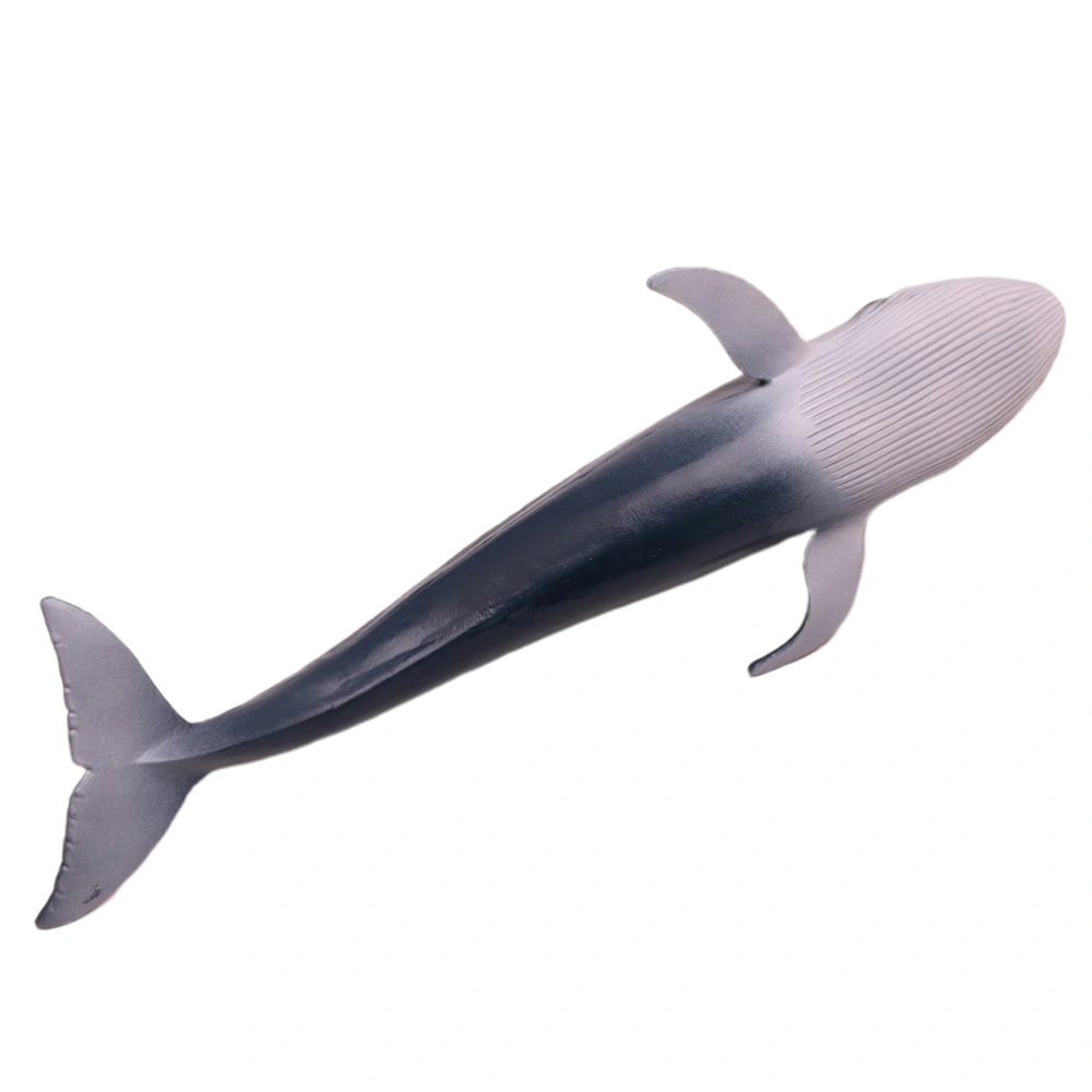 1pc Solid Marine Animal Model Blue Whale Model Crafts Lifelike Whale Model Adornments Mini Eco-friendly Plastic Toy for Decor (Random Color)