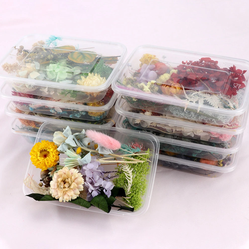 1 Set Natural Dried Flowers DIY Materials Handmade DIY Accessories for DIY