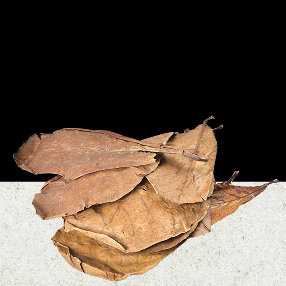 10 Pieces Lower Water PH Value Leaf Natural Olive Leaves Acid Regulation Leaf Water Quality Improving Leaf