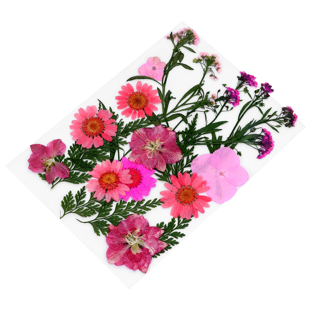 1 Set Flower Plants Specimen Herbarium Bookmark DIY Dried Flower Material Pack Mobile Phone Shell Flower Material Handmade Lesson Material (Pink, About 22pcs)