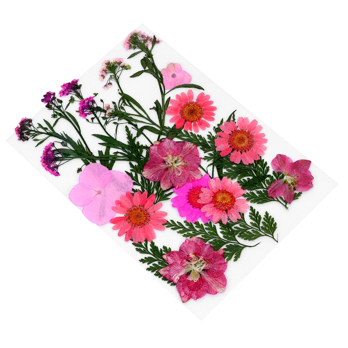 1 Set Flower Plants Specimen Herbarium Bookmark DIY Dried Flower Material Pack Mobile Phone Shell Flower Material Handmade Lesson Material (Pink, About 22pcs)