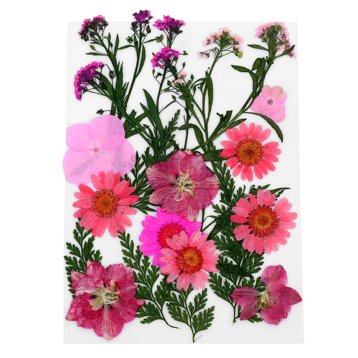 1 Set Flower Plants Specimen Herbarium Bookmark DIY Dried Flower Material Pack Mobile Phone Shell Flower Material Handmade Lesson Material (Pink, About 22pcs)