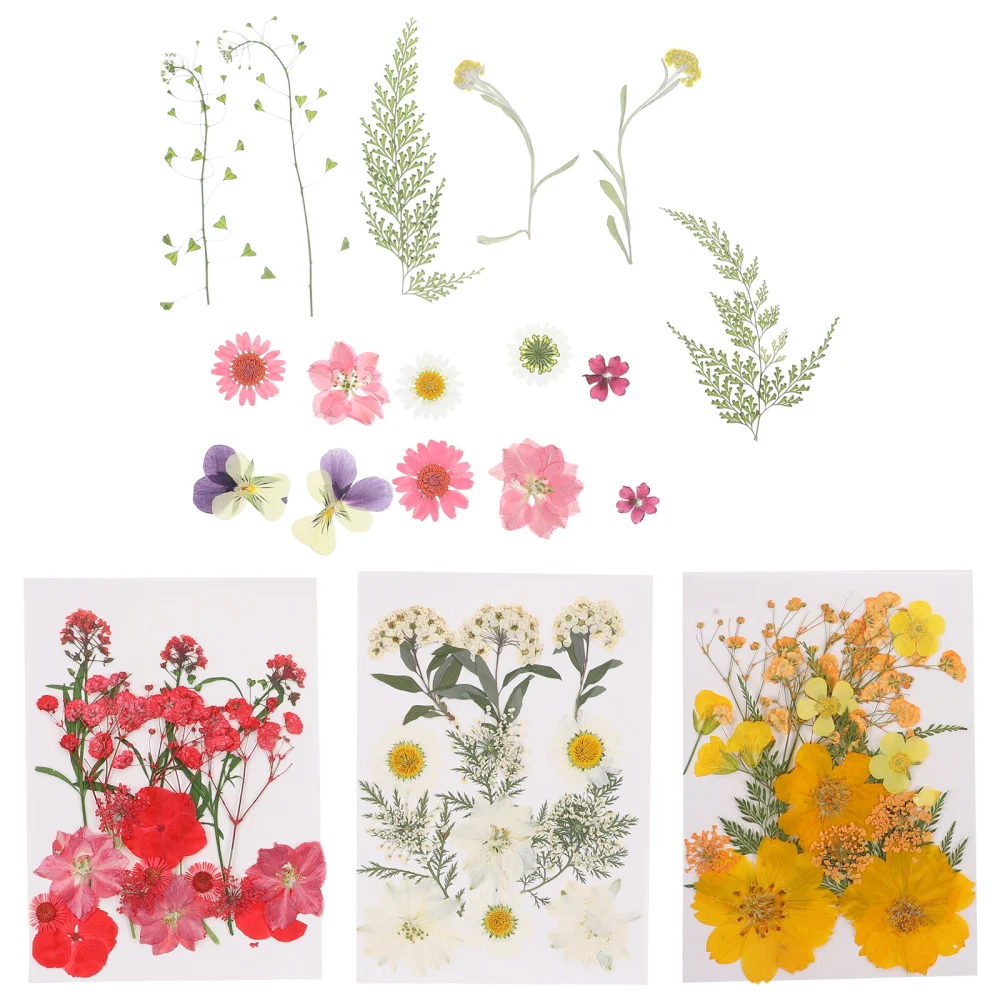 4 Bags of Real Dried Flowers Diy Pressed Flowers Art Floral Decorations Diy Accessories