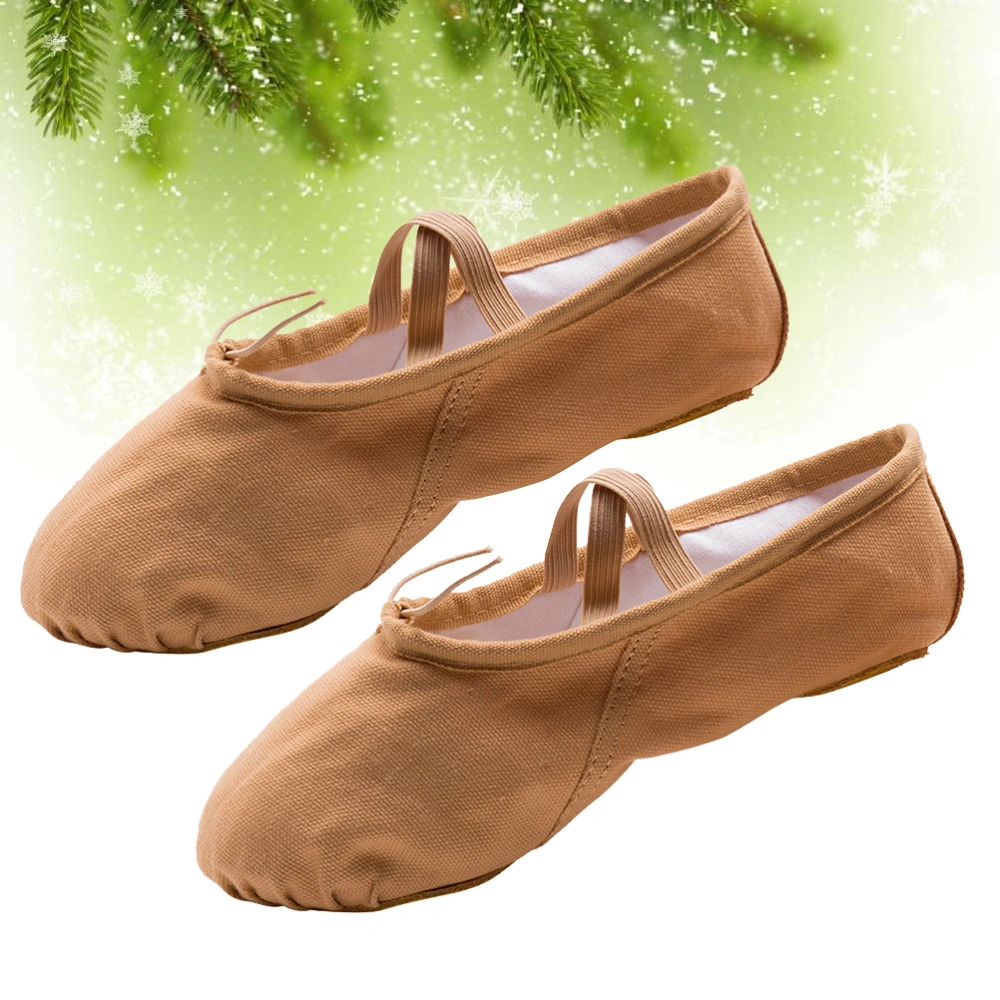 1 Pair Fashion Sole Ballet Shoes Ballet Dance Practice Shoes Yoga Ballet Shoes for Girls Women (Light Brown Size 40 23.5CM, 6.5US,4UK, 37.5EU,9.2355Inch)