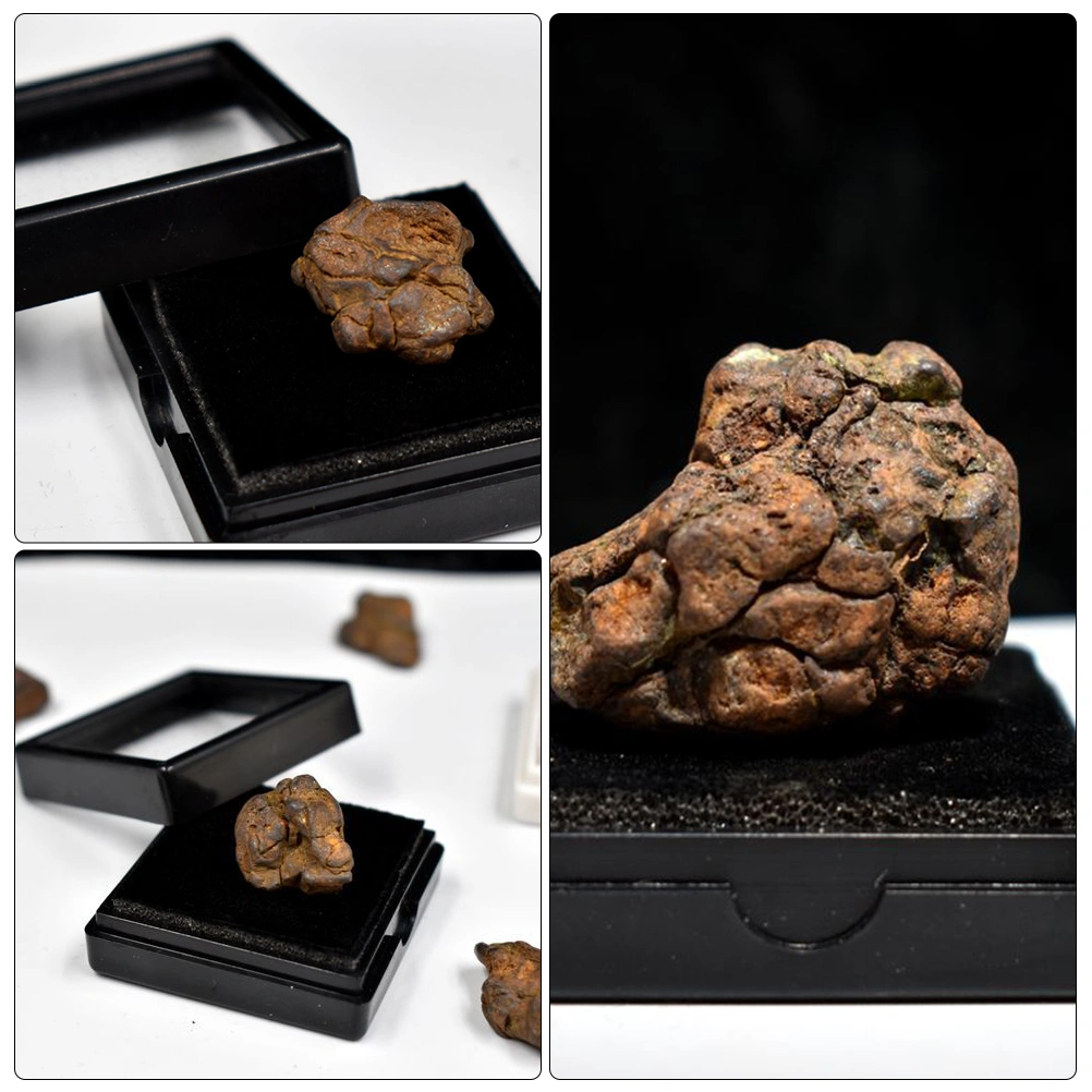 Creative Lithosiderite Sample Irregular Meteorite Science Teaching Material