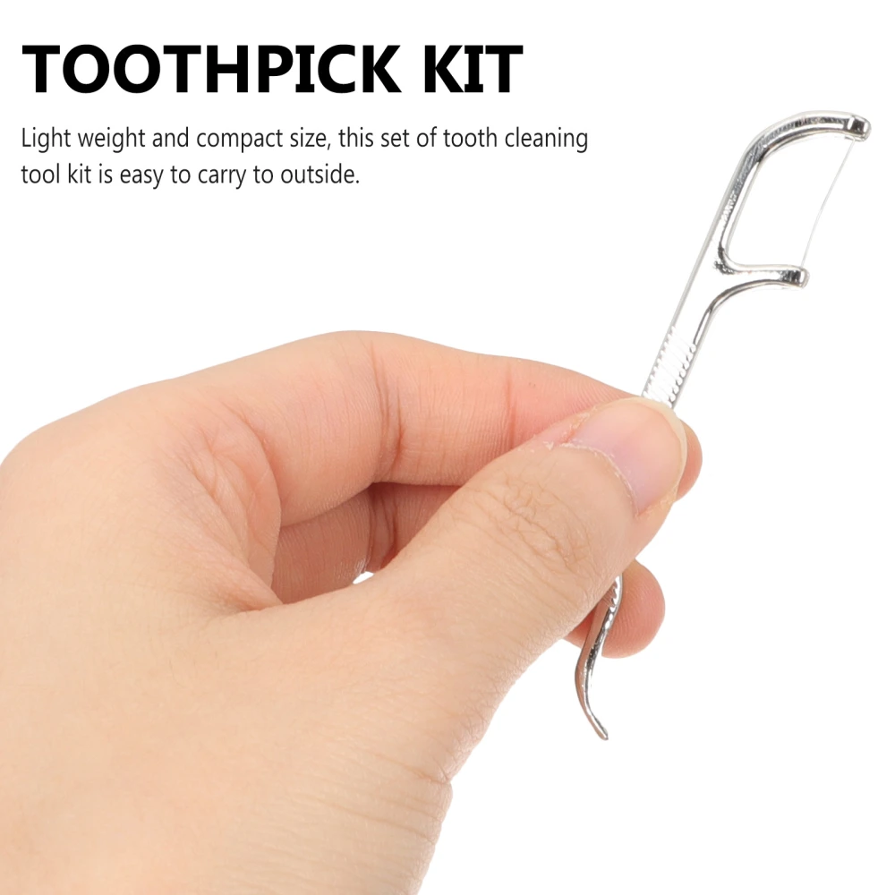 1 Set of Stainless Steel Toothpick Set Reusable Tooth Picker with Holder Case